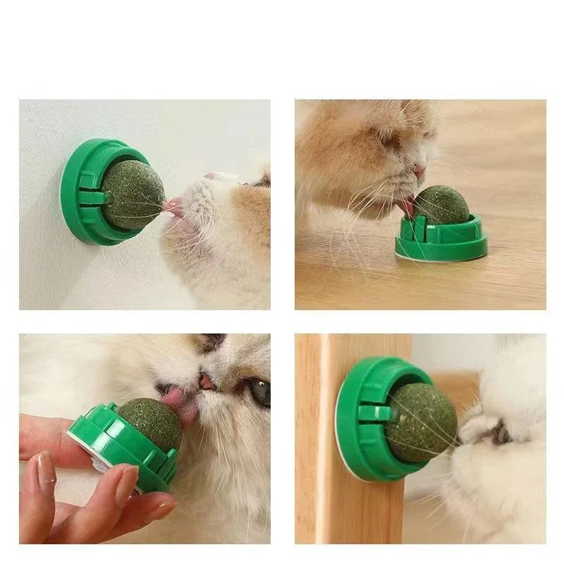 4 Pcs Premium Catnip Ball | Filindra