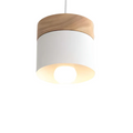 BirchGlow Kids Pendant Lamp For Cozy Reading Glow In Nurseries