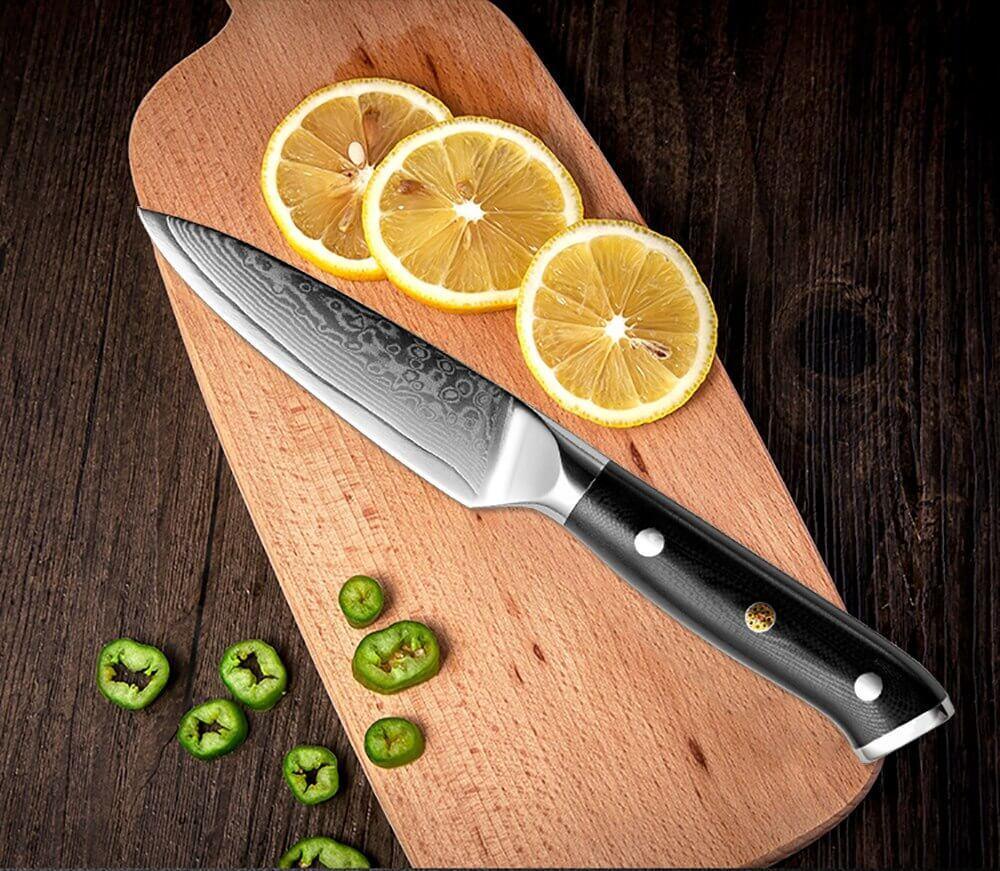 6-Piece VG10 Damascus Steel Kitchen Knife Set — 67-Layer Blades