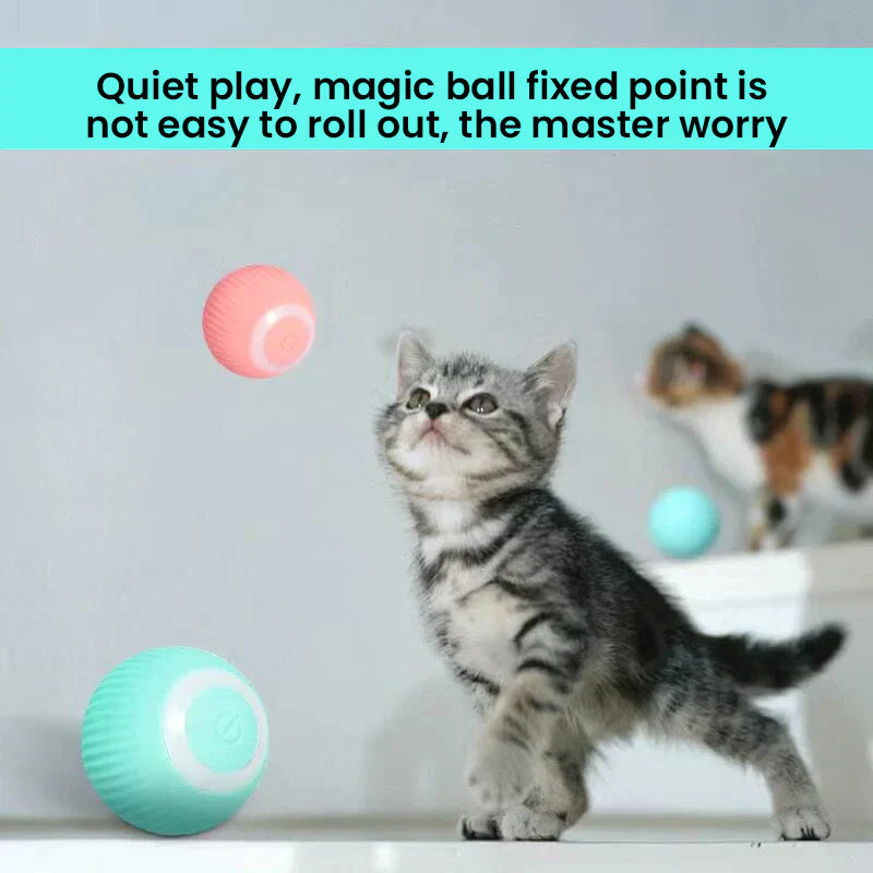 2 in 1 Simulated Interactive Hunting Cat Toy | Filindra