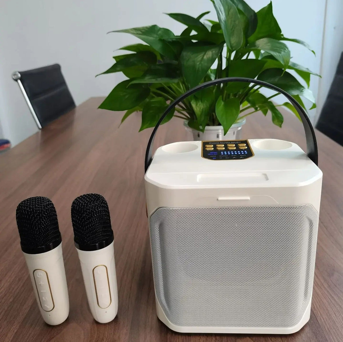 Enceinte karaoké Bluetooth portable rechargeable — Son riche