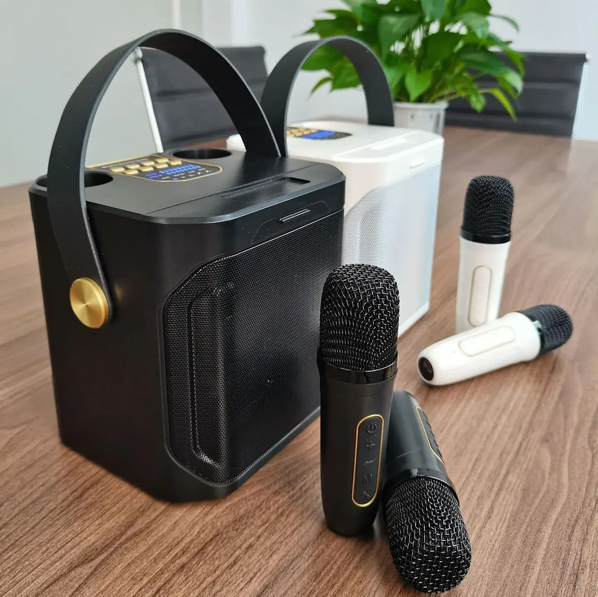 Enceinte karaoké Bluetooth portable rechargeable — Son riche