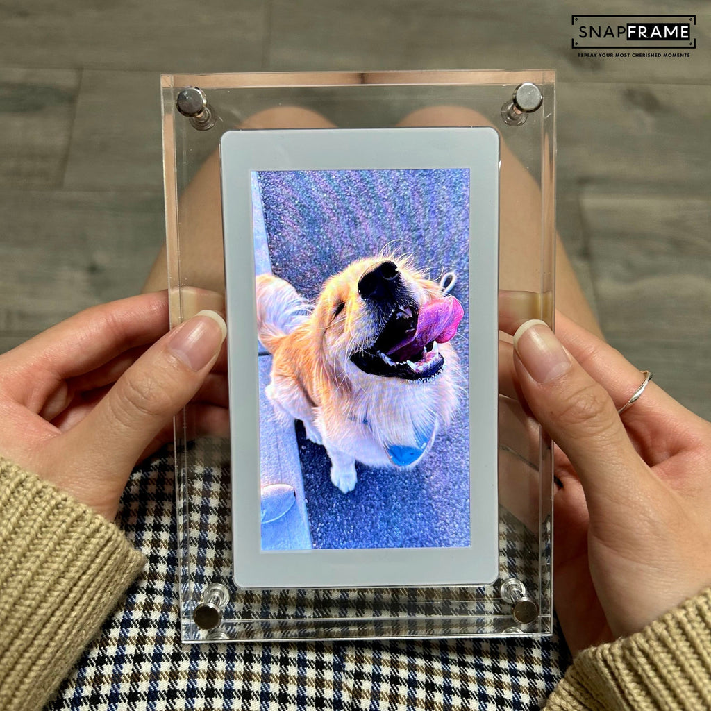Snap Frame Digital Picture Frame — Instant Memory Display