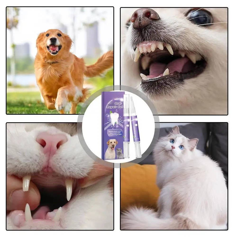 3 Set Dog Oral Repair Gel | Filindra
