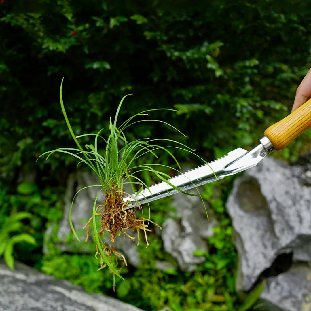 5-in-1-Unkrautstecher aus Edelstahl mit Buchenholzgriff | Filindra