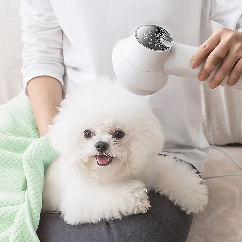 2 in 1 Smart Dog Hair Dryer | Filindra