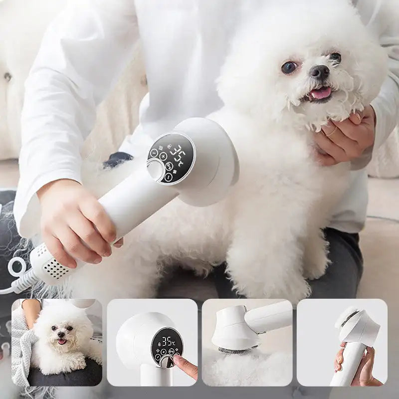 2 in 1 Smart Dog Hair Dryer | Filindra