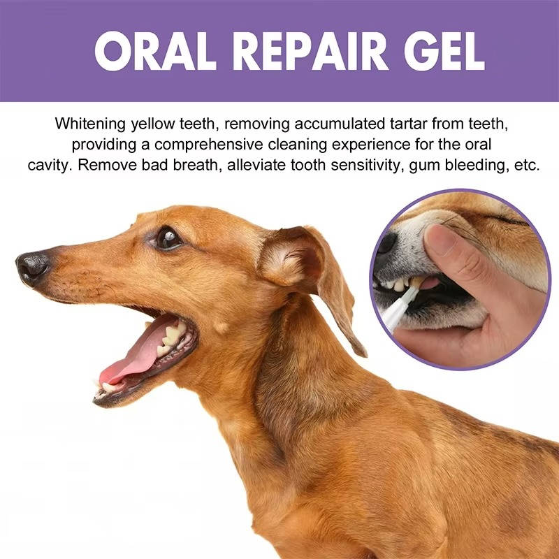 3 Set Dog Oral Repair Gel | Filindra