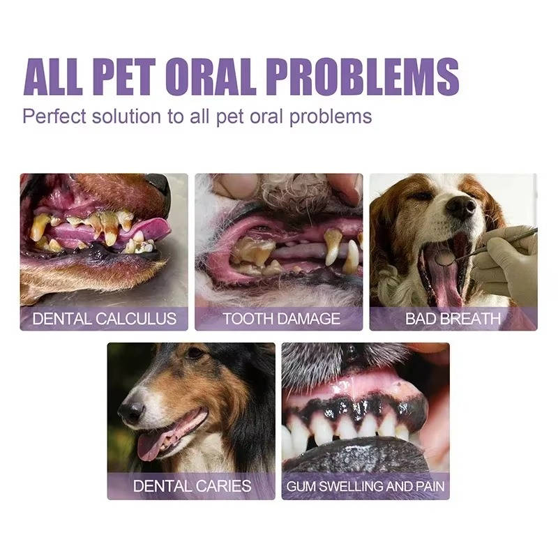 3 Set Dog Oral Repair Gel | Filindra