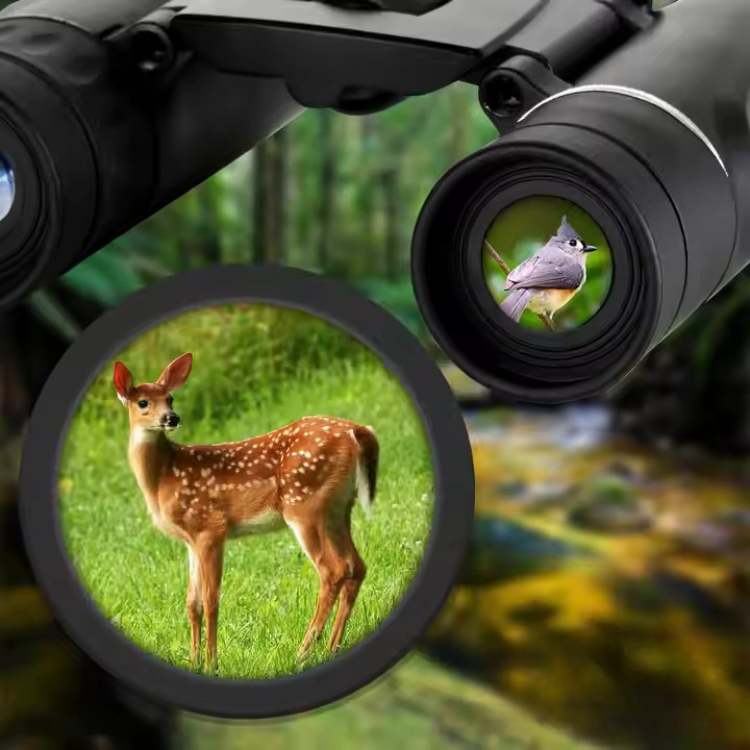 40x22 HD-lätta kikare — LuminaRidge TrailScout