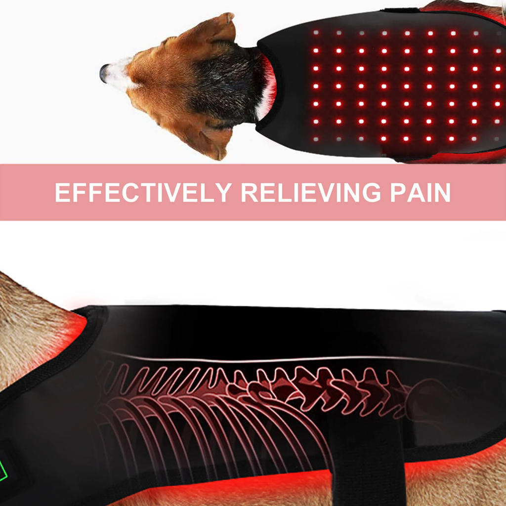 Cappotto terapeutico a luce infrarossa per animali — gilet rosso cicatrizzante per cani e gatti, vestibilità confortevole e avvolgente