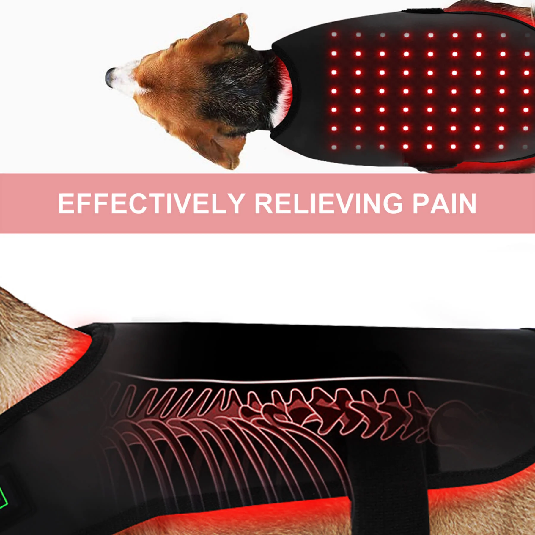 Cappotto terapeutico a luce infrarossa per animali — gilet rosso cicatrizzante per cani e gatti, vestibilità confortevole e avvolgente