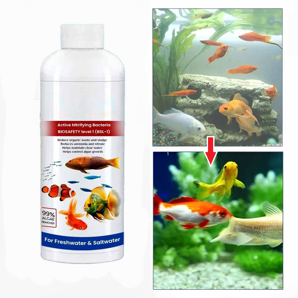 3 Pack Fish Tank Cleaner Liquid | Filindra