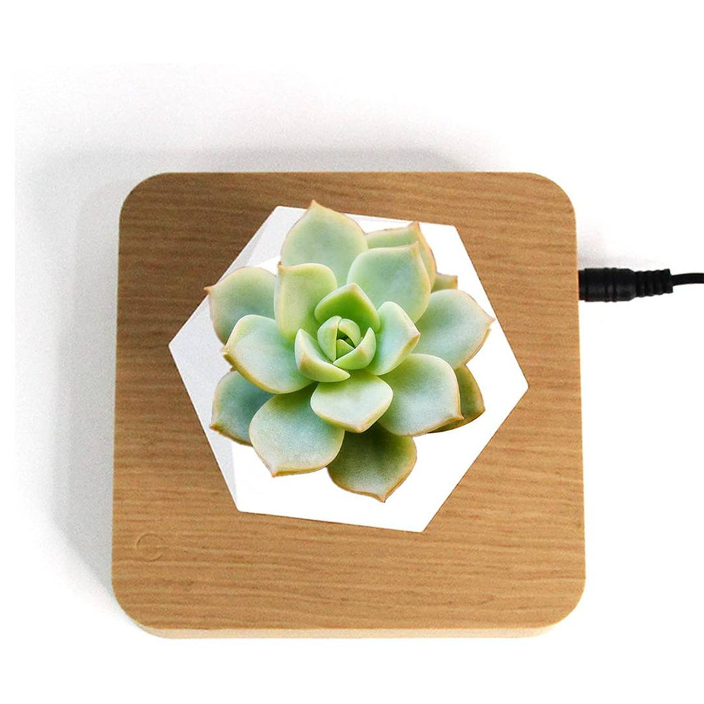 Lewitująca doniczka bonsai — magnetyczna, obracająca się o 360° donica