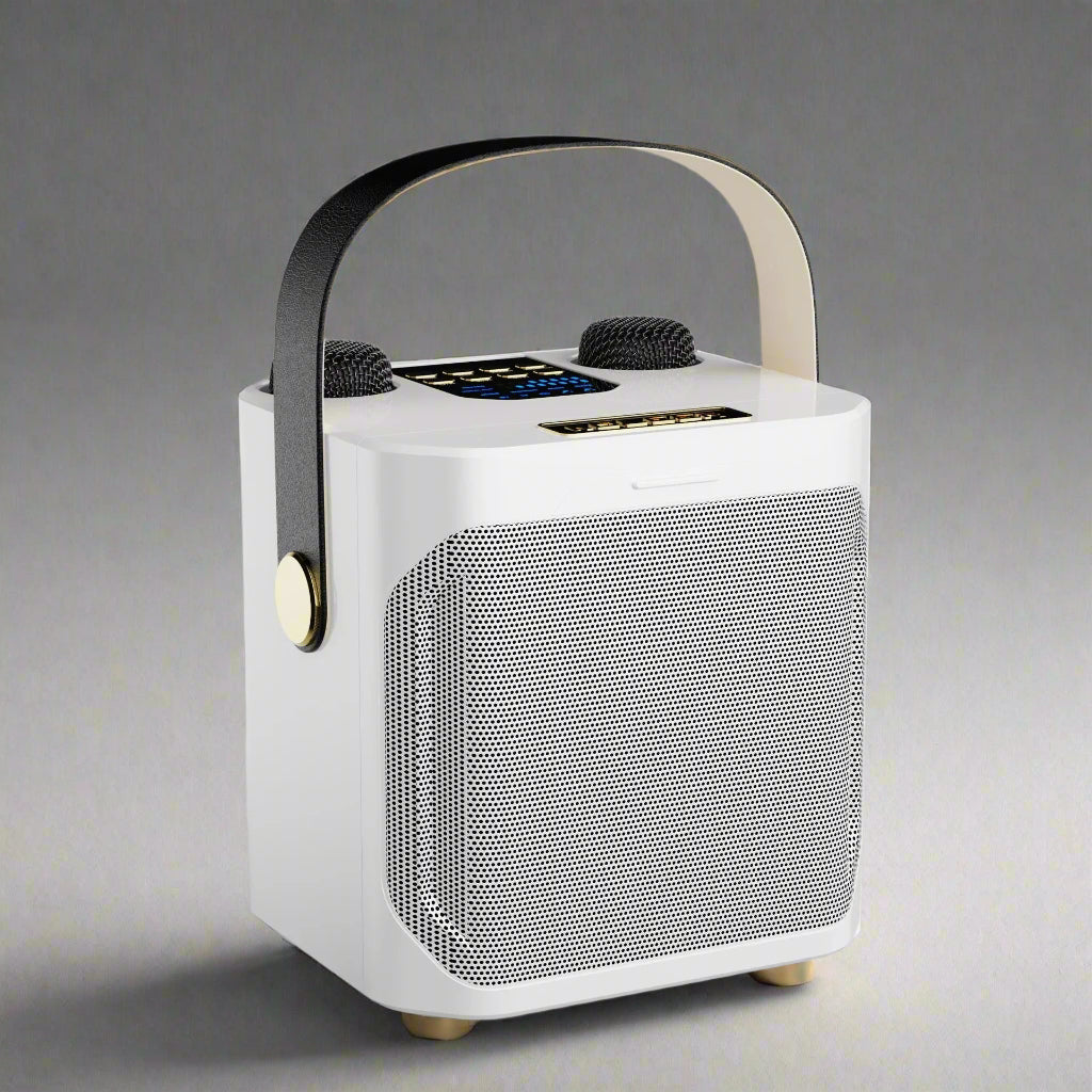 Enceinte karaoké Bluetooth portable rechargeable — Son riche