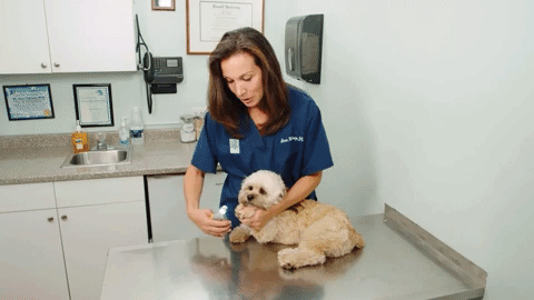 Tagliaunghie per Cani MAX — Sensori Rapidi per una Rifinitura più Sicura