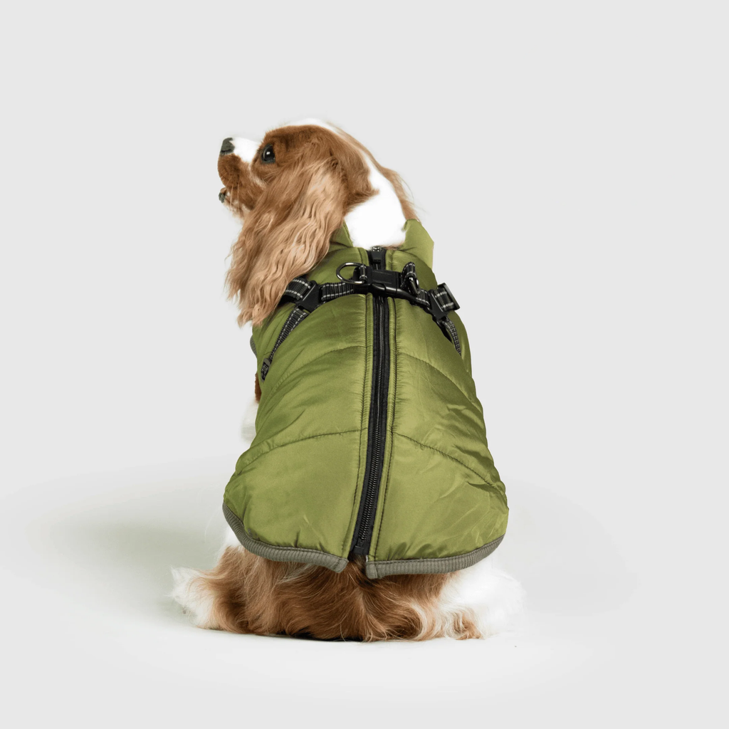 3 in 1 冬用犬用ジャケット — 寒い季節に暖かいコート