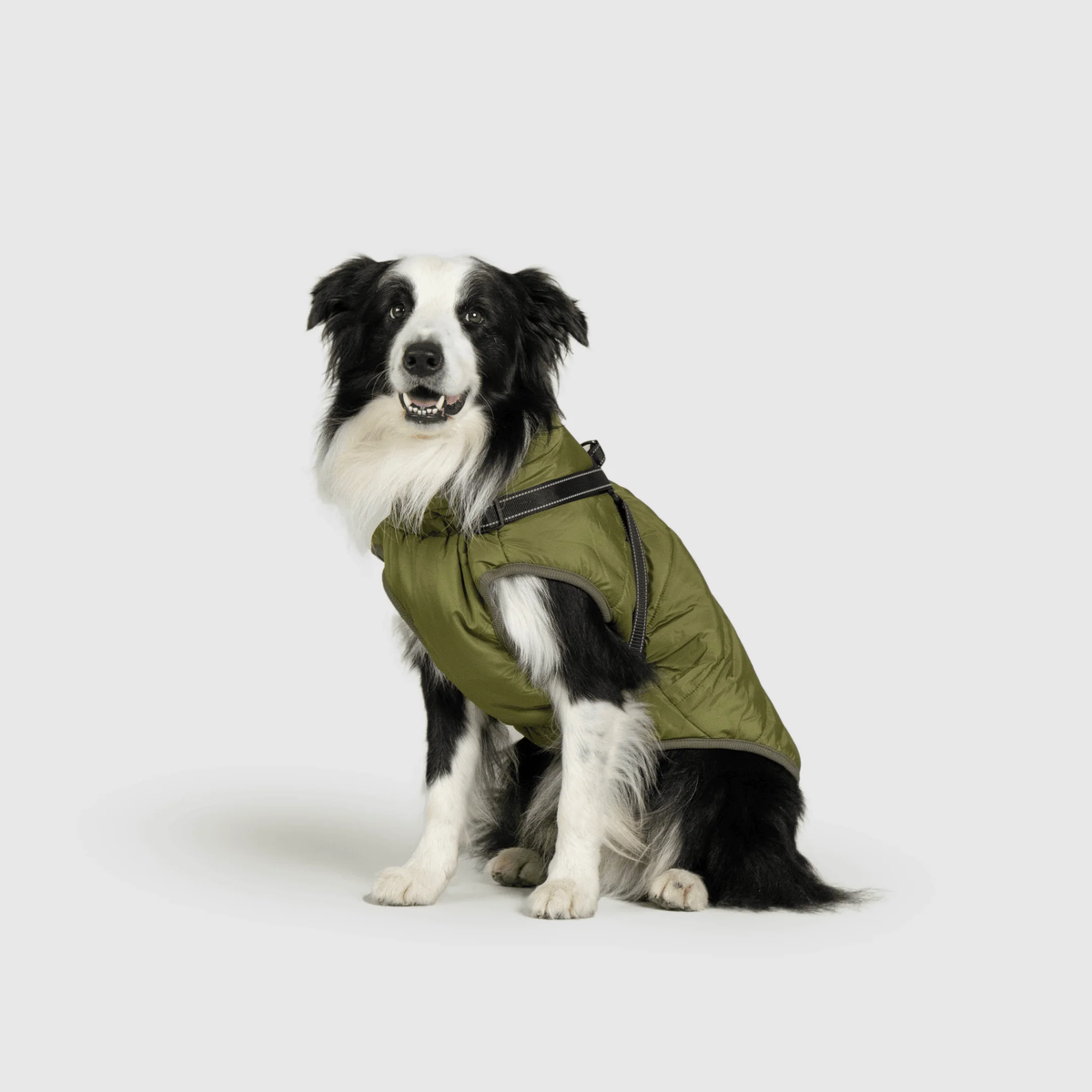 3 in 1 冬用犬用ジャケット — 寒い季節に暖かいコート
