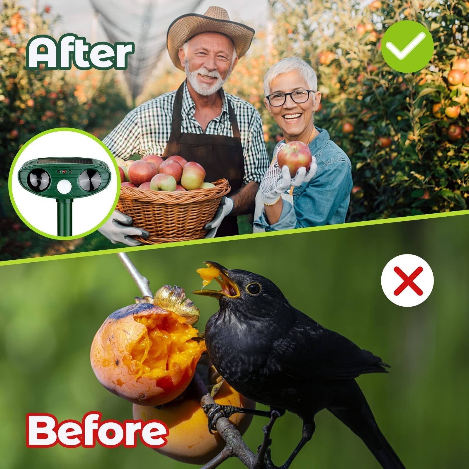 Ultrasonic Woodpecker Repellent | Filindra