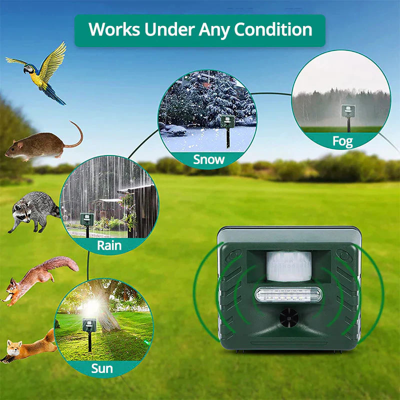 Woodpecker Ultrasonic Repeller | Filindra