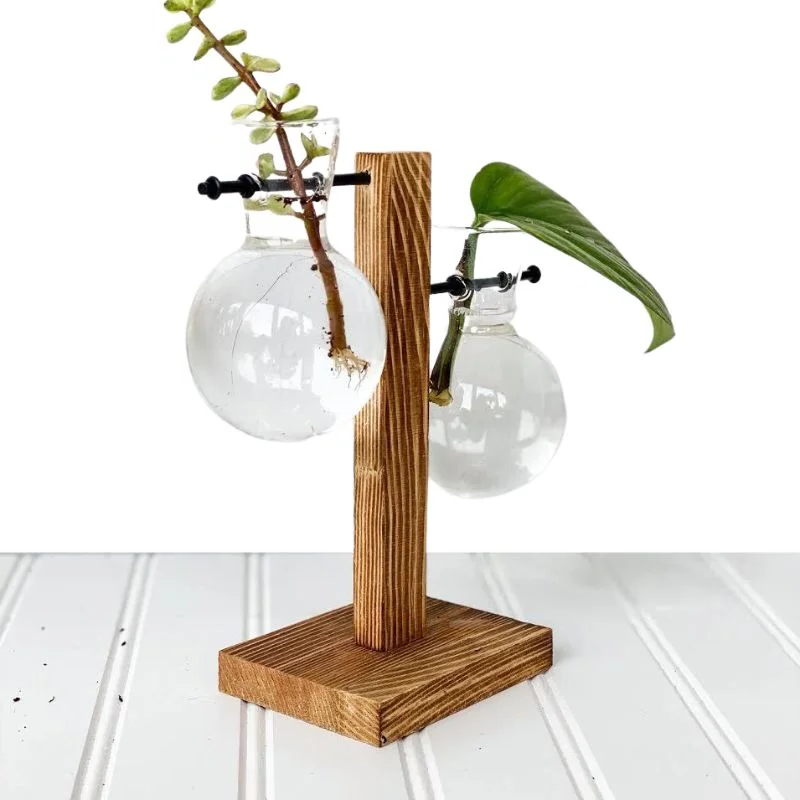 Wooden Frame Hydroponic Plant Vase | Filindra