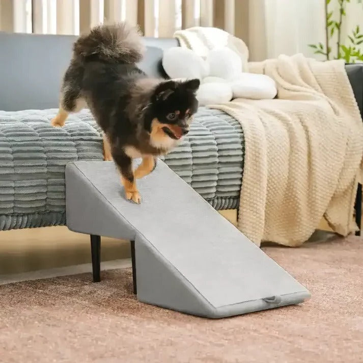 2-in-1 Convertible Dog Ramp and Step Stool | Filindra