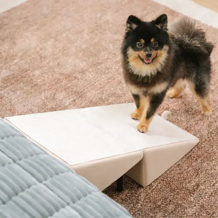2-in-1 Convertible Dog Ramp and Step Stool | Filindra