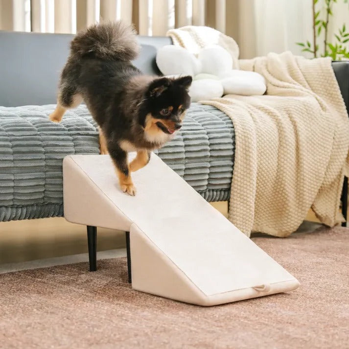 2-in-1 Convertible Dog Ramp and Step Stool | Filindra