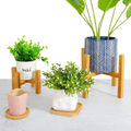 Wooden Plant Pot Trays | Filindra
