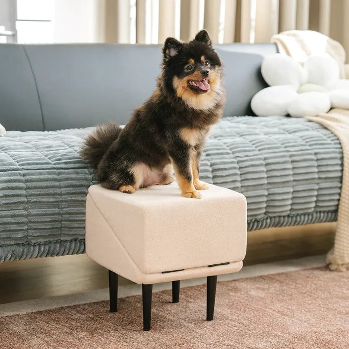 2-in-1 Convertible Dog Ramp and Step Stool | Filindra