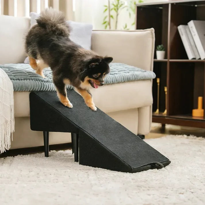 2-in-1 Convertible Dog Ramp and Step Stool | Filindra