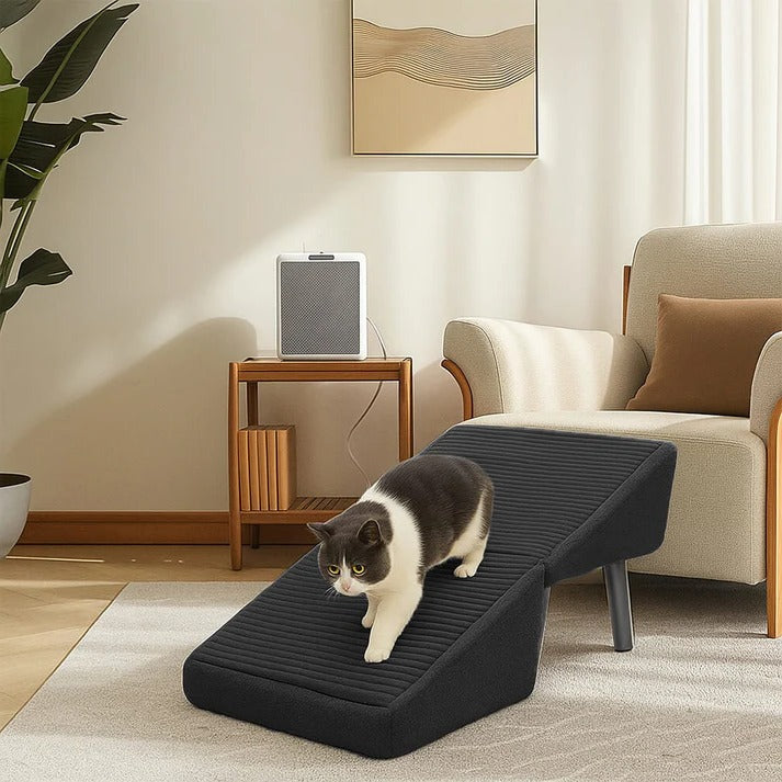 2-in-1 Convertible Dog Ramp and Step Stool | Filindra
