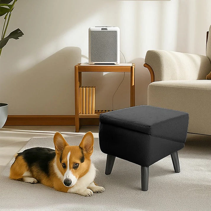 2-in-1 Convertible Dog Ramp and Step Stool | Filindra