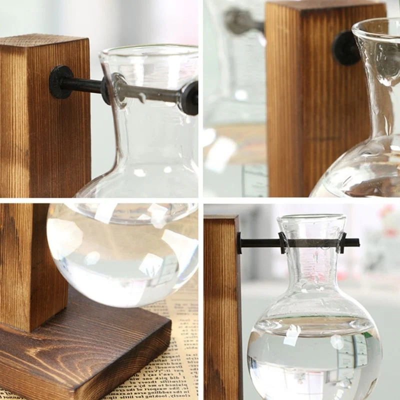 Wooden Frame Hydroponic Plant Vase | Filindra