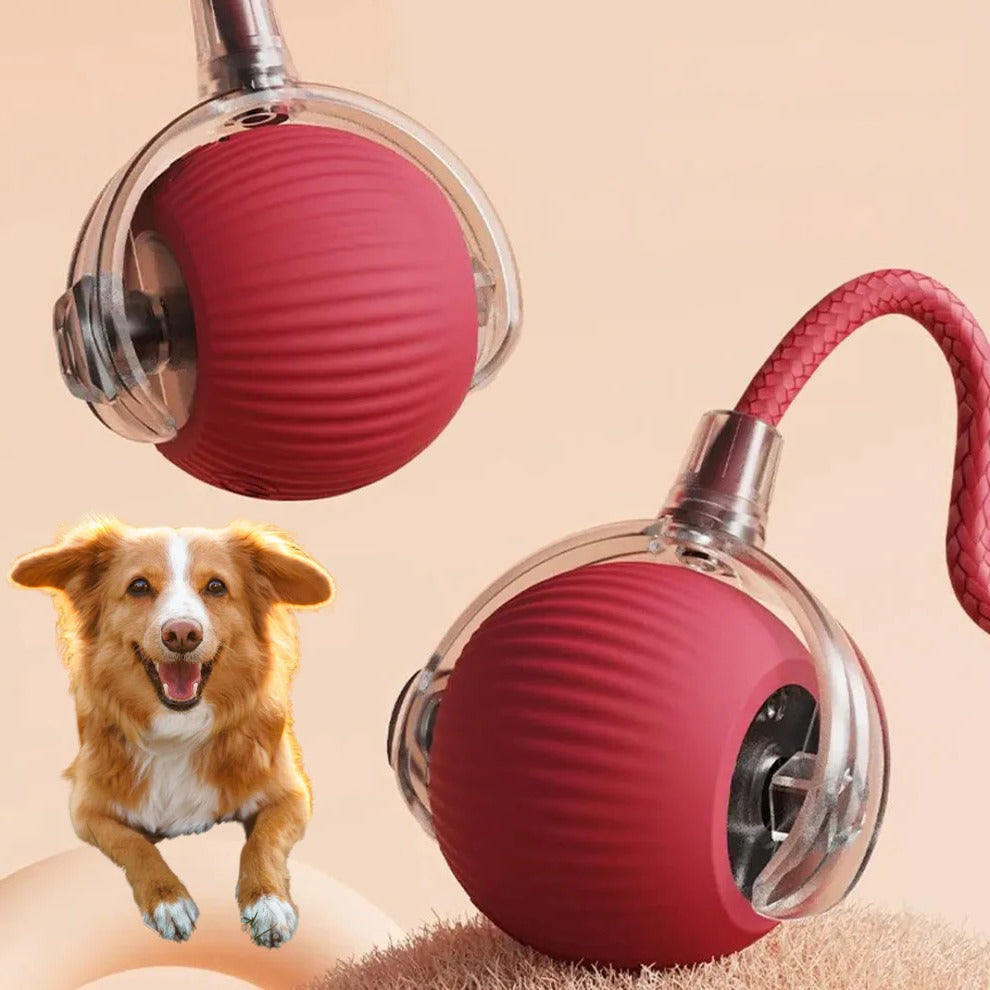 Active Rolling Ball with Tail for Dogs | Filindra