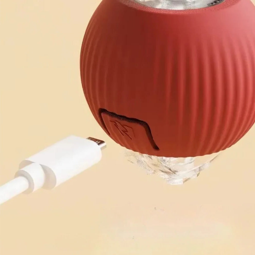 Active Rolling Ball with Tail for Dogs | Filindra