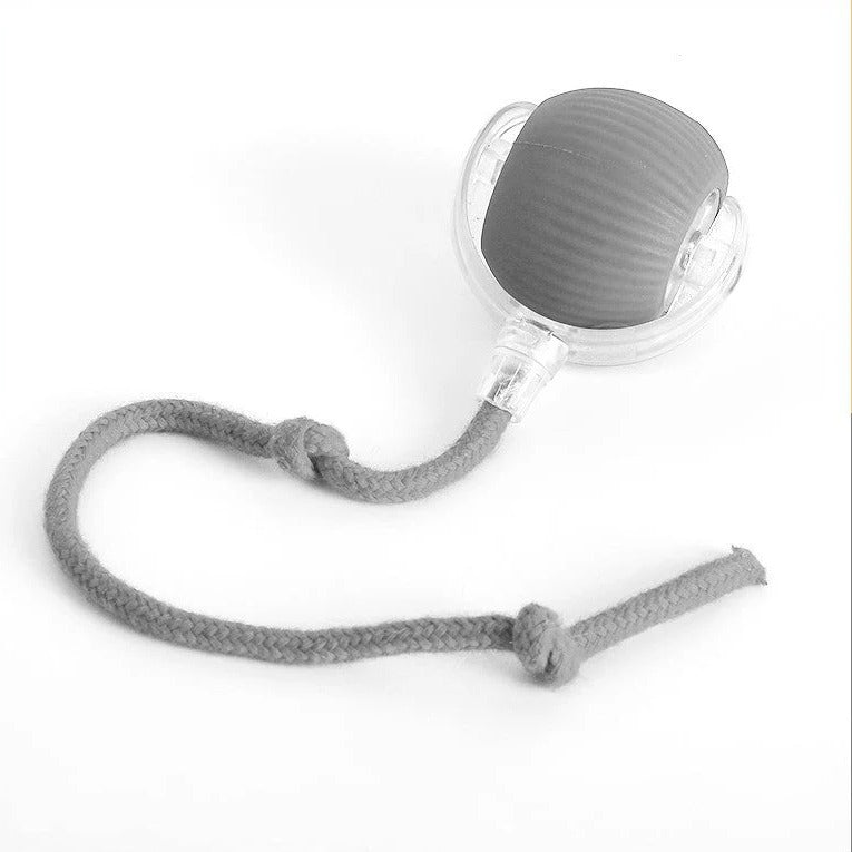 Active Rolling Ball with Tail for Dogs | Filindra