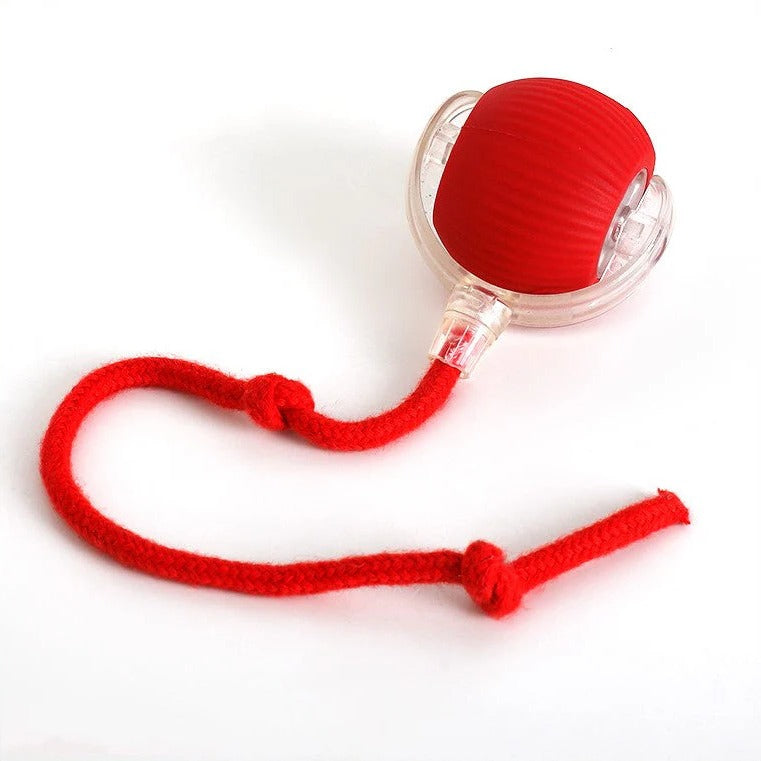 Active Rolling Ball with Tail for Dogs | Filindra