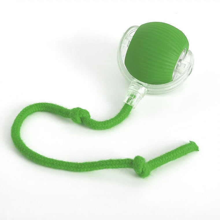 Active Rolling Ball with Tail for Dogs | Filindra