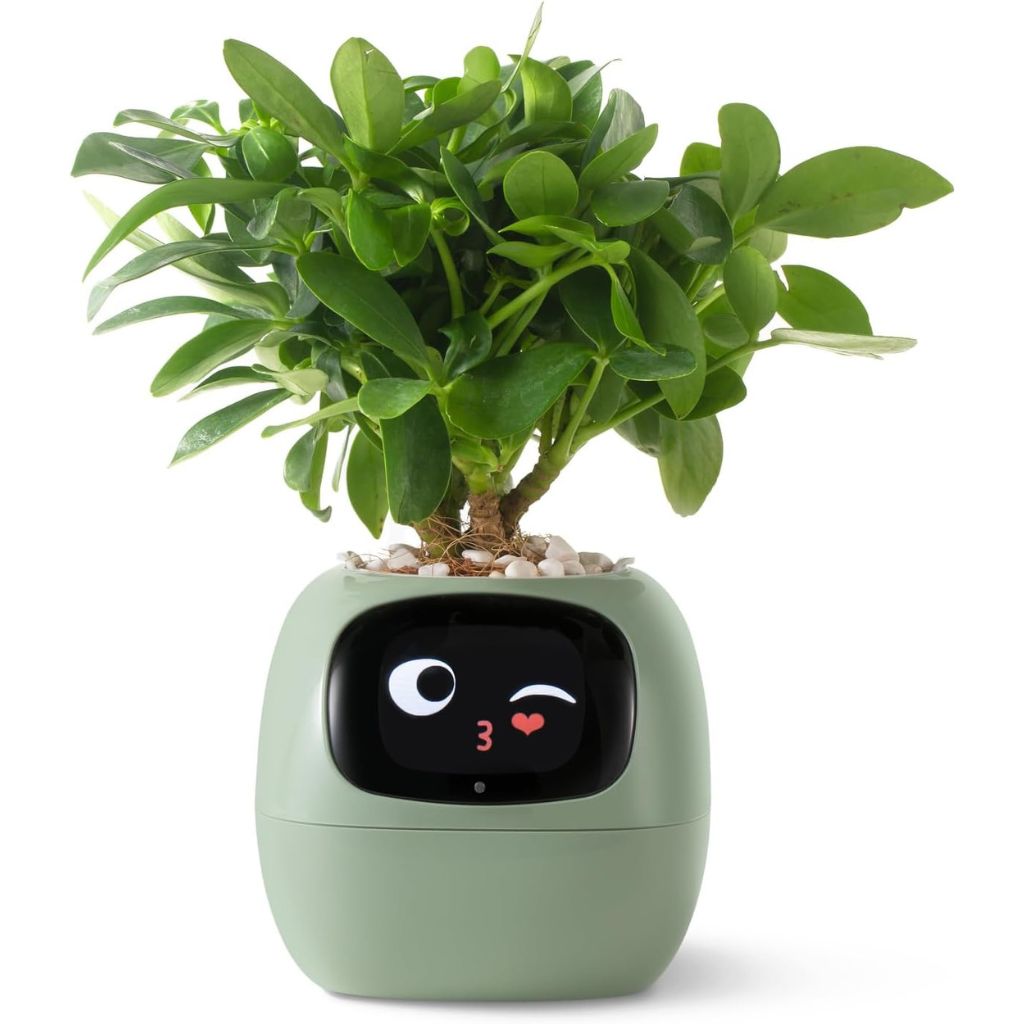 Ivy intelligenter Pflanztopf - Reagiert auf Gesten, über 70 einzigartige Animationen