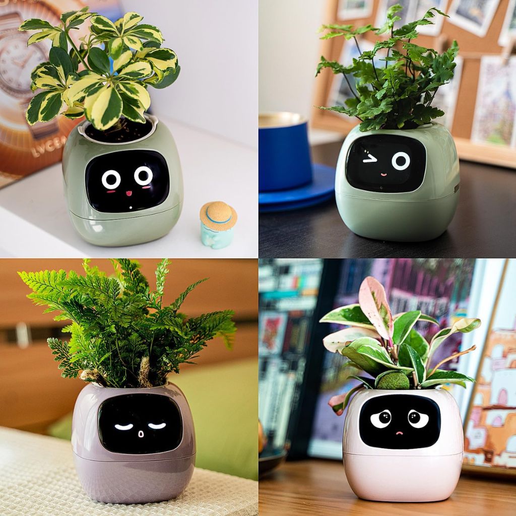 Ivy intelligenter Pflanztopf - Reagiert auf Gesten, über 70 einzigartige Animationen