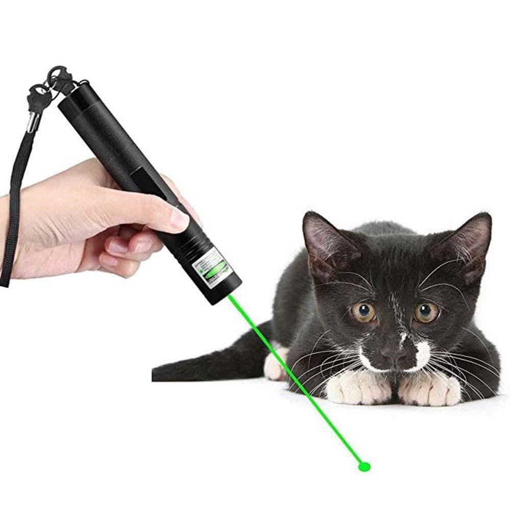 303 laserpointer — meget synlig grøn stråle, klarhed på lang afstand