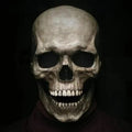 Mască realistă de craniu — Recuzită de costum de Halloween cu maxilar mobil