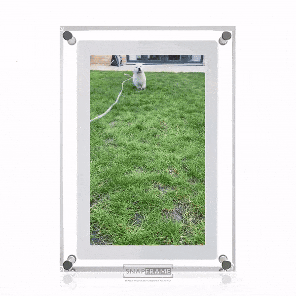 Snap Frame Digital Picture Frame — Instant Memory Display