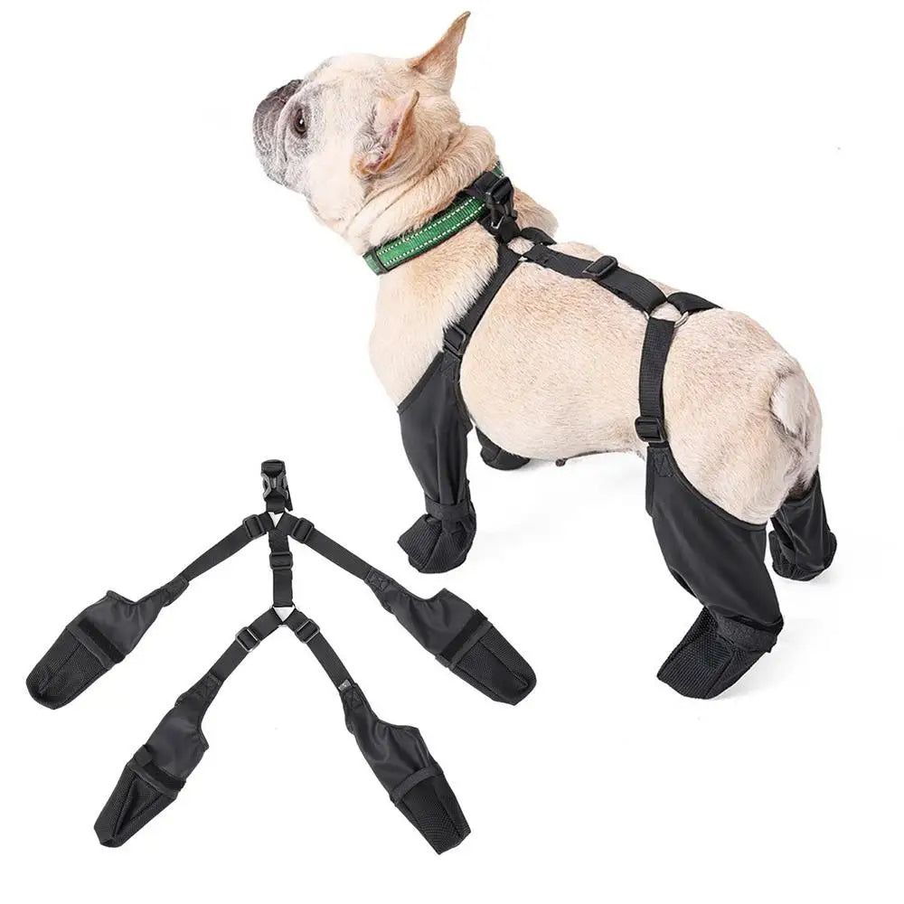 Botas ajustáveis para cães | Filindra