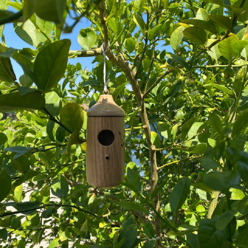 Wooden Hummingbird House - Gift for Natural Lovers | Filindra