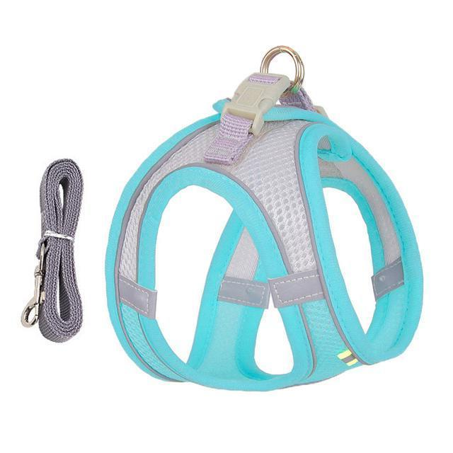 Adjustable Harness and Leash Set for Small Dogs and Cats | Filindra