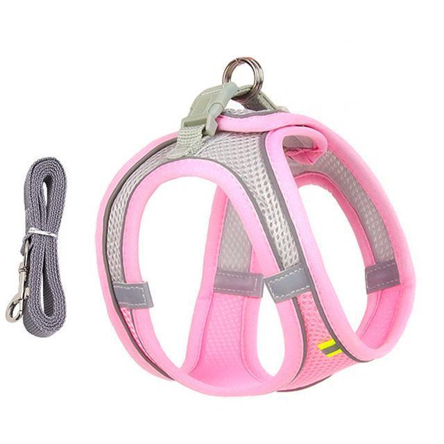 Adjustable Harness and Leash Set for Small Dogs and Cats | Filindra