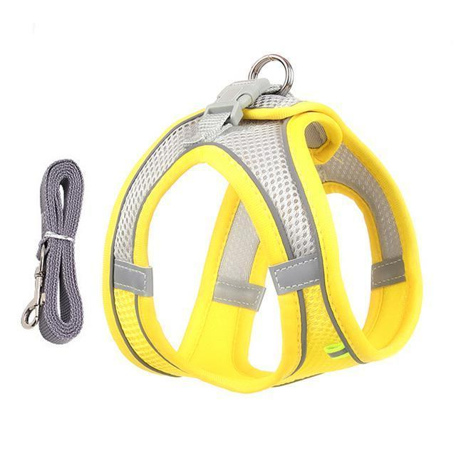 Adjustable Harness and Leash Set for Small Dogs and Cats | Filindra
