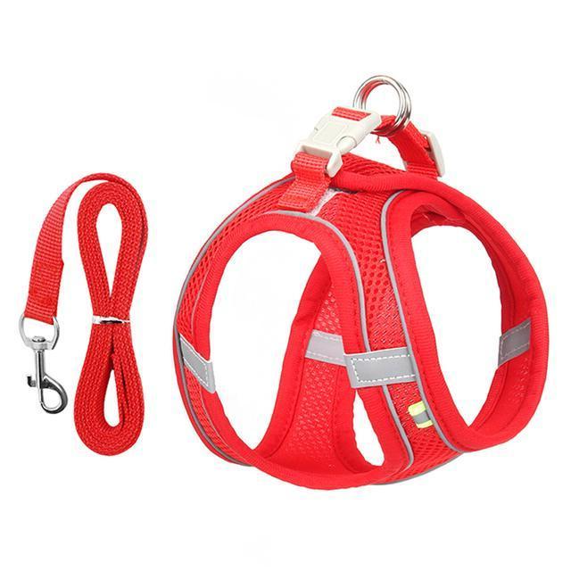 Adjustable Harness and Leash Set for Small Dogs and Cats | Filindra